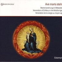 Stella splendens - Estampie
