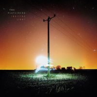 Chameleon Skin - The Flatliners