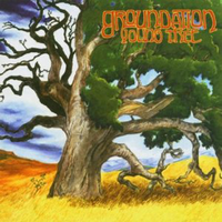 Congress Man - Groundation