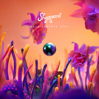 Looking For Love - Sheppard