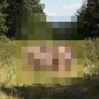 End of Reel - The Hotelier