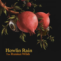 Can't Satisfy Me Now - Howlin' Rain