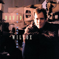 Block Dog - David Wilcox