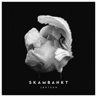 Rosa løgner - Skambankt
