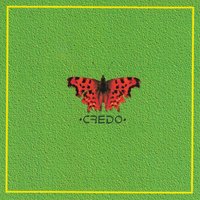 Lido - CREDO