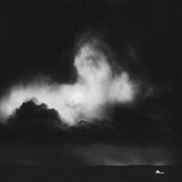 Winter - A Blaze of Feather