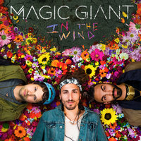 Window - Magic Giant