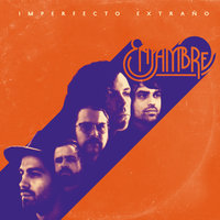 Vida En El Espejo - Enjambre