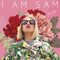 Hello Hater - Sam Bruno