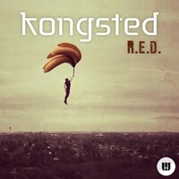 R.E.D. - Kongsted