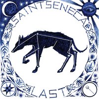 Missing Dogs - Saintseneca
