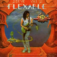 Junkie - Steve Vai