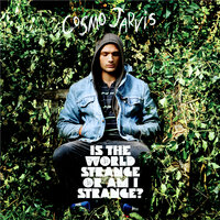 Jupiter's Falling - Cosmo Jarvis