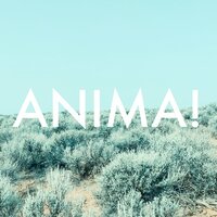 Breathe - Anima!