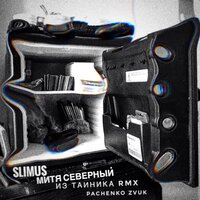 Митя Северный