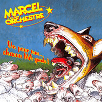 Minimum requis - Marcel et son Orchestre