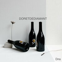 La 206 - DNS