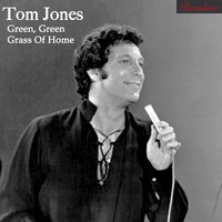 Fever - Tom Jones