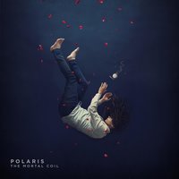Consume - Polaris