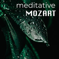 Mozart: Die Zauberflöte, K. 620 - "Bei Männern, welche Liebe fühlen" - Rolando Villazon, Christiane Karg, Jory Vinikour
