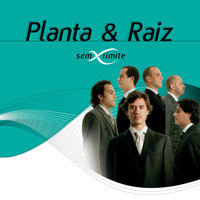 Ondas - Planta e Raiz