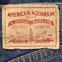 Lost and Found - American Aquarium