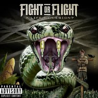 Fight Or Flight