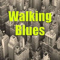 Sinful Woman - Elmore James
