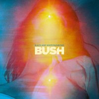 Peace-S - Bush