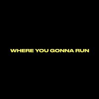 Where You Gonna Run - Manu Crooks