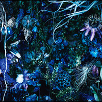 Rebellmusik - SUGIZO, K Dub Shine