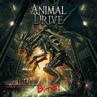 Father - Animal Drive