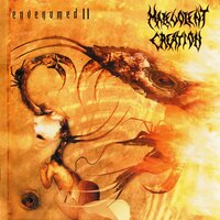Halved - Malevolent Creation