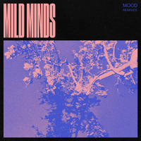 VIEWS - Mild Minds, Laurence Guy