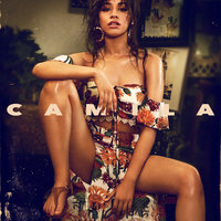 Never Be the Same - Camila Cabello