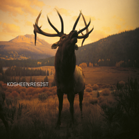 Face In A Crowd - Kosheen