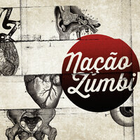 Defeito Perfeito - Nação Zumbi