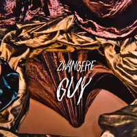 Wrap remix - Zwangere Guy, Peet