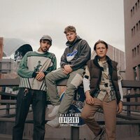 VHS 2 - Gustav, AVO