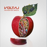 Pe Nori - Voltaj