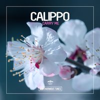Calippo