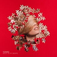 Time to Shine - Totemo