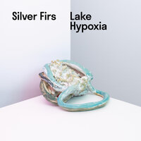Silver Firs