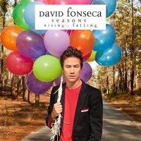 What Life Is For - David Fonseca