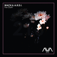 Wach