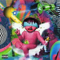 Nocturnal Eclipse - Fijimacintosh, Robb Bank$