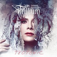 Nocturna - Trillium