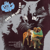 Night Time - The Cats