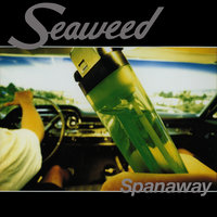 Last Humans - Seaweed