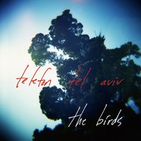 The Birds - Telefon Tel Aviv, Matthew Dear